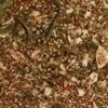 Spirits & Spice One Potato, Two Potato Spice Blend view 2