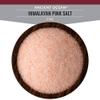 SALTWORKS Artisan Salt Company Ancient Ocean Himalayan Pink Salt, Fine Grain, Pour Spout Pouch, 16 Ounce view 4