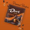 DOVE PROMISES Individually Wrapped Dark Chocolate & Peanut Butter Candy, 6.74 Oz Bag (Pack of 8) view 4