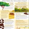 Addictive Wellness Sugar-Free Raw ENERGY Chocolate 3 PACK Vegan Paleo & Keto- Purely Superfoods and Adaptogens view 3