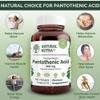 Natural Nutra Time Release Pantothenic Acid 500 mg, Vitamin B5 Supplement Helps Break Down Fat and Carbohydrates, Metabolism and Energy, Improve Muscle Health, Reduce Skin Spots, 60 Vegetarian Tablets view 3
