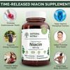 Natural Nutra Time-Release Slow Niacin 500mg (Vitamin B3), Support Energy Production, Promotes Cardiovascular Health, Promotes Skin Health and perceptual Function, 100 Vegan and Vegetarian Tablets view 3
