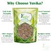 YUVIKA Beej SOYA | SOYA Seeds | Dil Seeds | ShataPushpa - Anthem Graveolens (400 Grams) view 3