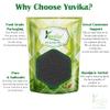 YUVIKA Kulfa Seeds - Portulaca Oleracea (400 Grams) view 3