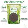 YUVIKA Bartang | Barhang - Broadleaf Plantain - Juke (400 Grams) view 3