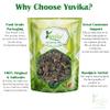 YUVIKA Khatmi - Althaea Officinalis Linn - Mashmallow Seeds (400 Grams) view 3