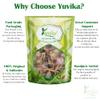 YUVIKA Jufa | Zufa - Hyssopus Officinalis Linn - Hyssop | Issopo | Holy Herb (200 Grams) view 3