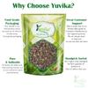 YUVIKA Mushk Dana - Ambrette Seeds (100 Grams) view 4