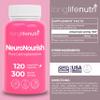 NeuroNourish (Centrophenoxine) 300mg - 120 Vegetarian Capsules, 4-Month Supply, Natural Nootropic for Strengthening Memory, Focus, & Cognitive Function, GMP Certified, Made in USA view 2
