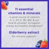 Zarbees Complete Kids Multivitamin Gummies + Immune Support, Berry Flavor, Honey-Sweetened, Gluten-Free & Gelatin-Free, Vitamins A, C, D3, E, B6, B12, Folic Acid & B-Complex, 70 Count view 2
