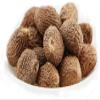 Barringtonia/Hijagal / samudra pazham/Mavinkubia / Attampu Kurpa/Samudraphala / Nijhira (1kg) view 2