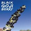 100G PREMIUM Wild Black Goji Berry /Black Wolfberry, Qinghai AAAAA Top Grade view 3