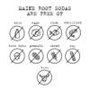 Maine Root Soda - Fair Trade Craft Soda in Glass Bottles (Mexicane 12 Pack) view 3
