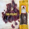 2017 National Jerky of The Year Winner JerkyPro One Pound 16oz Beef Jerky (Honey Glazed) view 1