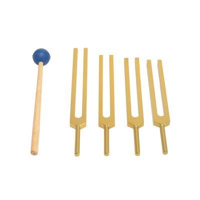 TFS Tuningforkshop Gold Finish 4 Pc Fibonacci Solar Harmonic Upgrade