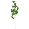 SilksAreForever 78" Silk Bauhinia Hong Kong Orchid Tree Branch Stem -Green (Pack of 4) view 1