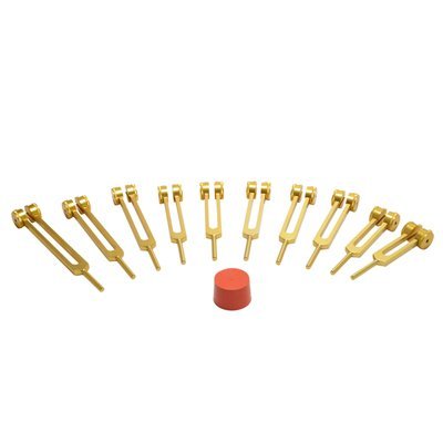 TFS Tuningforkshop Gold Finish Weighted 9 Pc Sacred Solfeggio Set