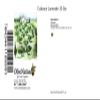 OliveNation Culinary Lavender, 100% Raw Dried Lavender Flower Buds, Floral Aromatic - 20 pounds view 2