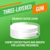 TheraBreath Fresh Breath Chewing Gum with ZINC, Citrus Mint Flavor, 10 Count (Pack of 6) view 4