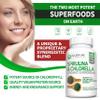 Allied Life Spirulina and Chlorella | Organic Chlorophyll Vegan Protein Powder Green Superfood Capsules | Natural Immune Support (3 Bottle Pack) view 3