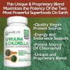 Allied Life Spirulina and Chlorella | Organic Chlorophyll Vegan Protein Powder Green Superfood Capsules | Natural Immune Support (3 Bottle Pack) view 4