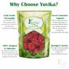 YUVIKA Gule Anar | Anar Ka Phool - Punica Granatum - Pomegranate Flower (100 Grams) view 3