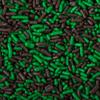 Dutch Treat Chocolate Mint Sprinkles Candy Ice Cream Topping - 10 lb. By TableTop King view 2
