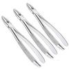 AAPROTOOLS Set of 3 Dental EXTRACTING Forceps #MD1 Dental Extraction Instruments A+ Quality view 1