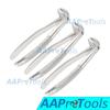 AAPROTOOLS Set of 3 Dental EXTRACTING Forceps #MD3 Dental Extraction Instruments A+ Quality view 2