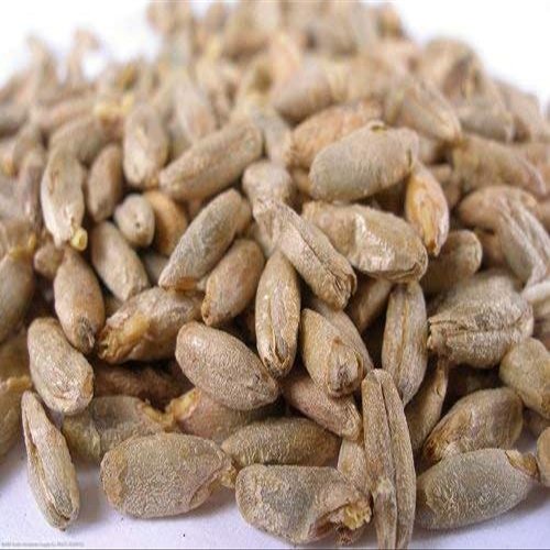 5 lb Rye Malt