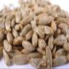 5 lb Rye Malt view 1