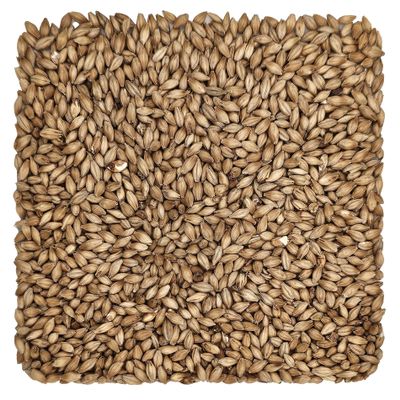 10 lb Golden Promise Malt