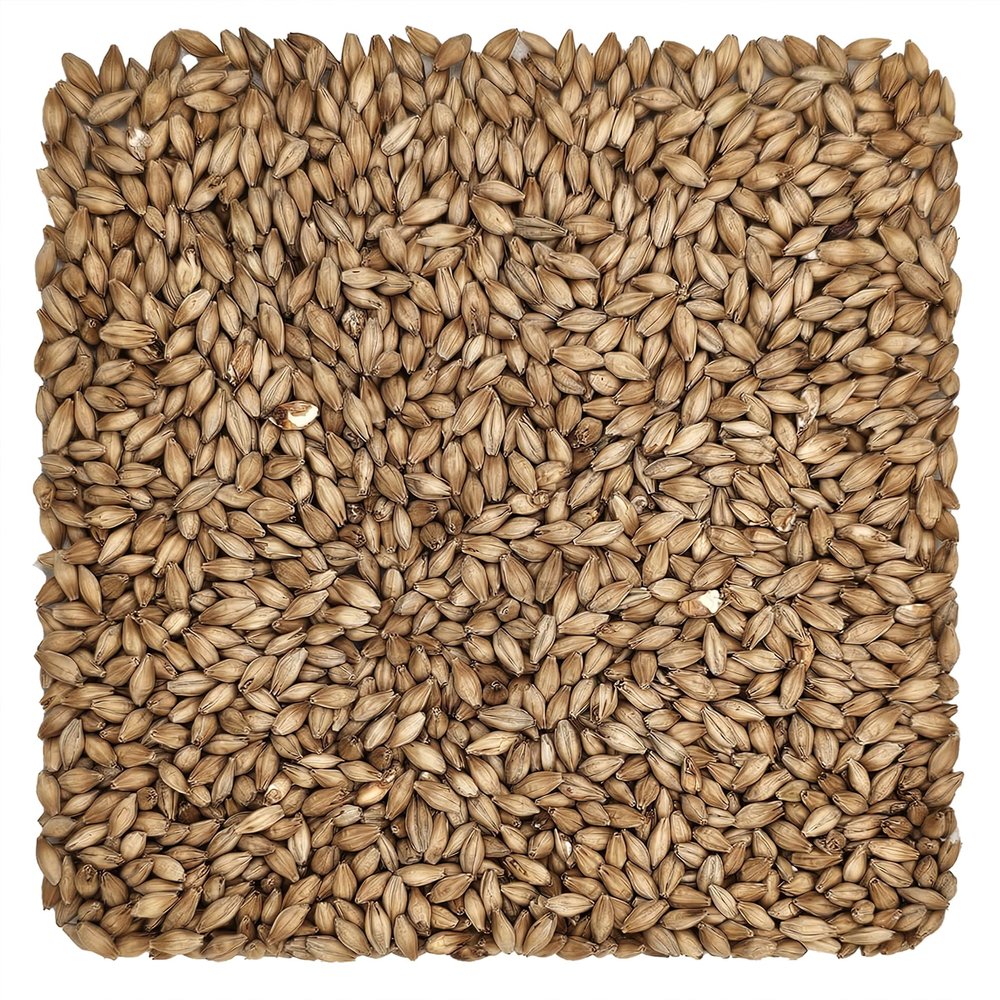 10 lb Golden Promise Malt