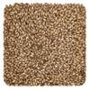 10 lb Golden Promise Malt view 1