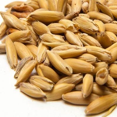 5 lb Oat Malt