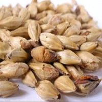5 lb Melanoidin Malt