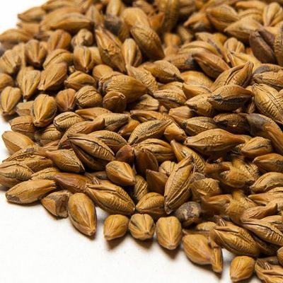 5 lb Amber Malt