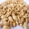 10 lb Pale Ale Malt view 1