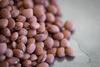 Rancho Gordo Pinquito Santa Maria Beans, 16 OZ view 3