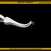 G.S BUCCAL Tube Tweezers with Slot ALINGER Dental Orthodontic Instruments view 3
