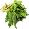 Epazote Herb - Dried Chenopodium ambrosioides C/S 100% from Nature (1 oz) view 3