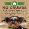EcoPawz Wiley's Beef Jerky Pet Treats | Grain Free Dog Treats Made in USA | All Natural Snacks for Dogs | (Beef, 16 oz. Bag) view 4