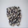 Amish Country Popcorn | 1 Lb Midnight Blue Kernels | Old Fashioned, Non-GMO and Gluten Free (1lb Bag) view 2