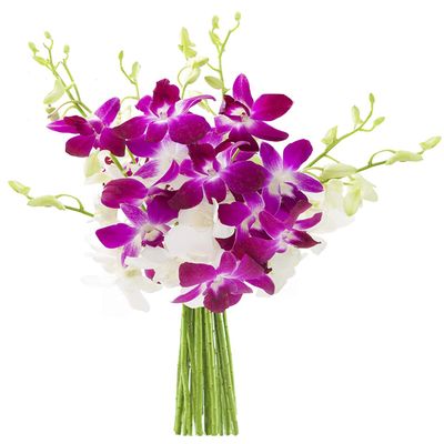 Blooms2Door PRIME NEXT DAY DELIVERY - Mothers Day Collection - Exotic Opal Orchid, 5 Count.Gift for Birthday, Thank You, Valentine, Mothers Day Fresh Flowers
