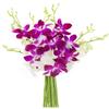 Blooms2Door PRIME NEXT DAY DELIVERY - Mothers Day Collection - Exotic Opal Orchid, 5 Count.Gift for Birthday, Thank You, Valentine, Mothers Day Fresh Flowers view 1