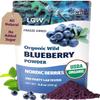 LOOV Organic Wild Blueberry Powder - 41-Day Supply, 8.8 Oz, Good for Smoothie & Breakfast, Freeze-Dried, from Northern Europe, No Added Sugar view 1