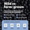LOOV Organic Wild Blueberry Powder - 29-Day Supply, 6 Oz, Good for Smoothie & Breakfast, Freeze-Dried, from Northern Europe, No Added Sugar view 4