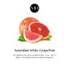 Murchison-Hume Heirloom Dish Soap Refill 32 oz  Australian White Grapefruit  Powerful Grease-Cutting, Non-Toxic & Eco-Friendly Dish Soap with Sophisticated Scent  Pet Safe view 4