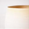 HitoHana Potos No. 8 Sassar White view 3