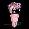 Flower Sleeve Printed "Elsie" 4.75" x 20" x 17" BO Plastic- Pack of 100 Sleeves (Red) view 2